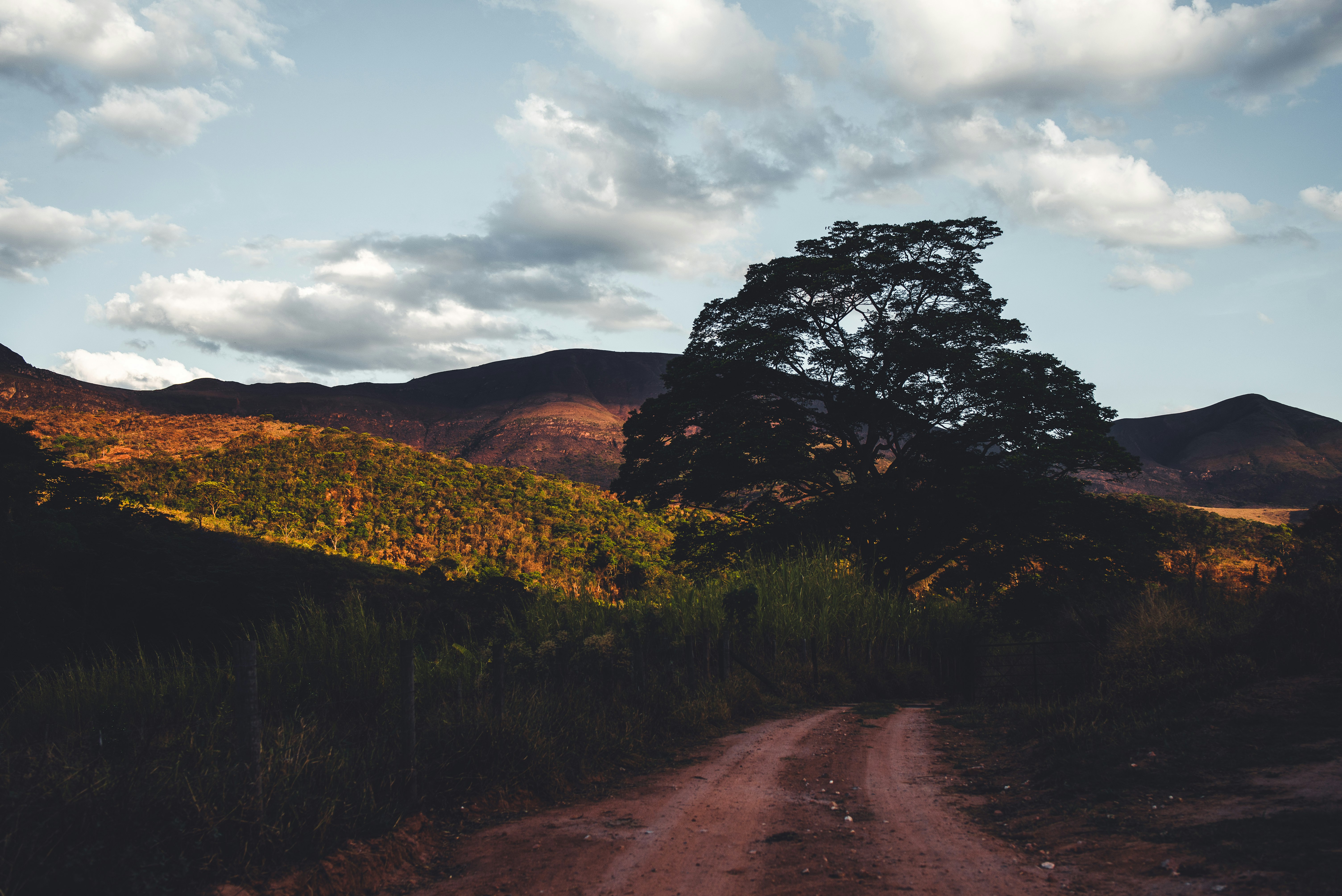 brown dirt road between green grass field under cloudy sky during daytime